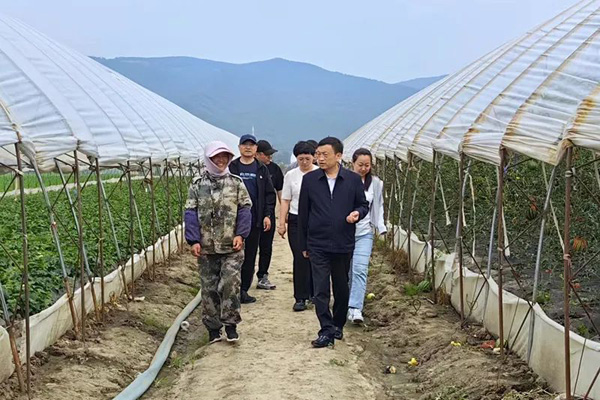 林口县古城镇人大：推动代表家(站)“三化”建设 打通服务群众“最后一公里”