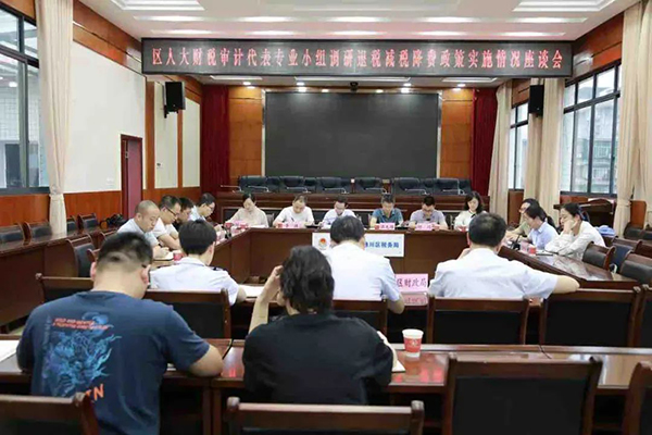 内行“出征” 代表“亮招”