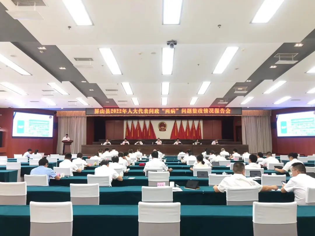四川屏山县人大常委会：问政“两病” 喜得回声响