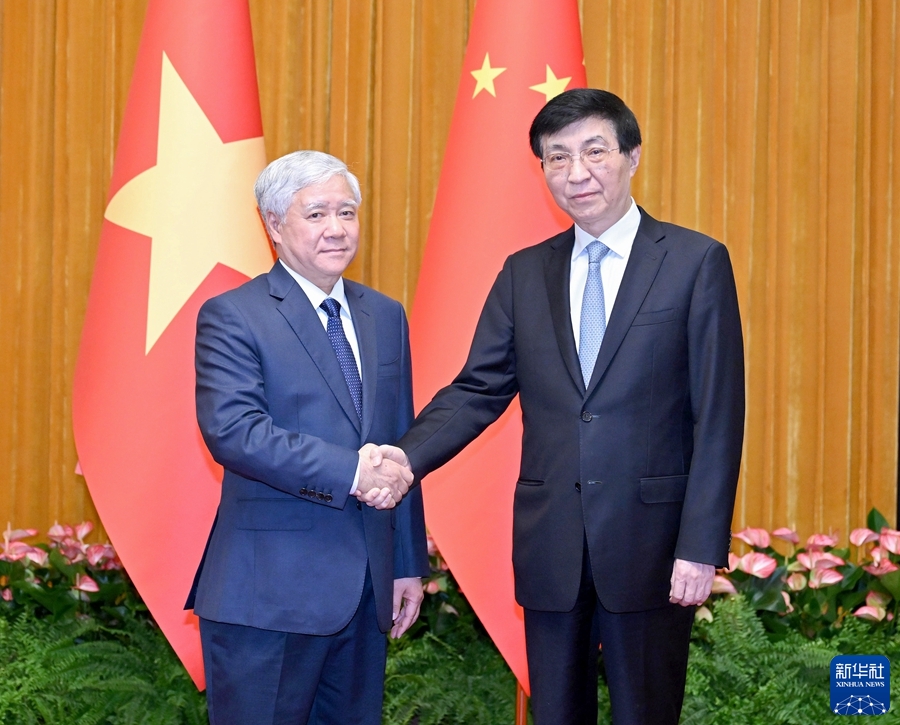 王沪宁会见越南祖国阵线中央委员会主席杜文战