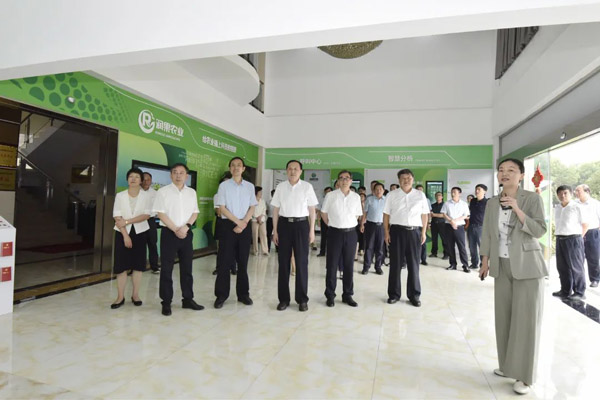 镇江人大：高质量履职为项目建设“添势赋能”