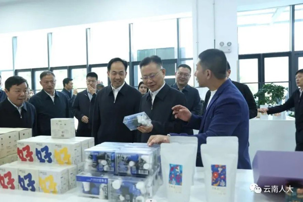  云南省人大常委会听取和审议专题调研报告推动系列“三年行动”高质量实施