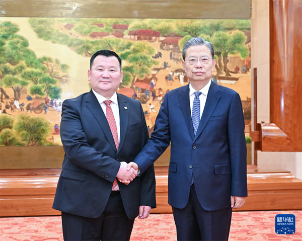  赵乐际会见蒙古国家大呼拉尔副主席蒙赫巴特尔