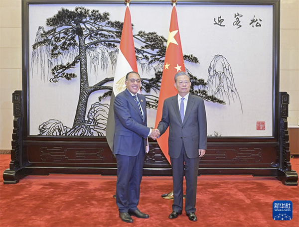 赵乐际会见埃及总理马德布利