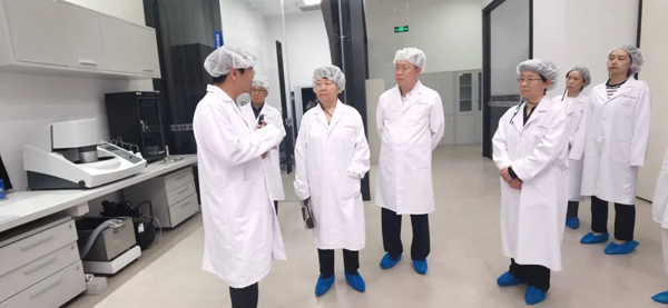全国人大调研组到四川开展文物保护法立法调研