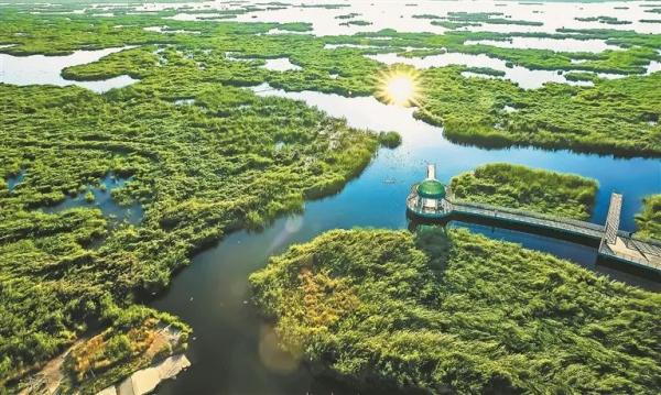 区域协同立法 共护绿色龙江