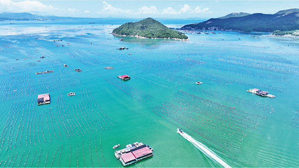 深化立法领域改革